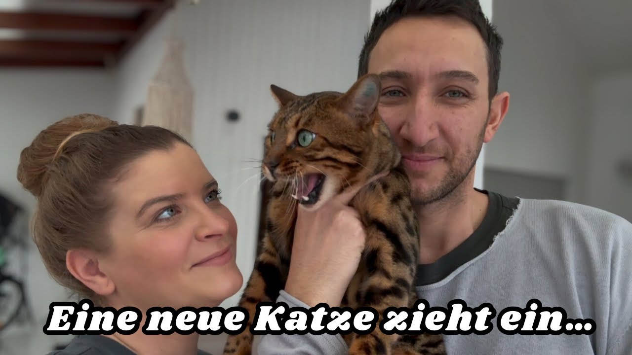 Aber für welche Rasse werden wir uns entscheiden? 🤔 