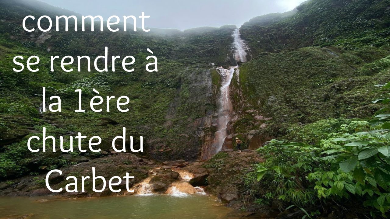 Guadeloupe randonnée Vlog du jour : 📍1ère chute du Carbet