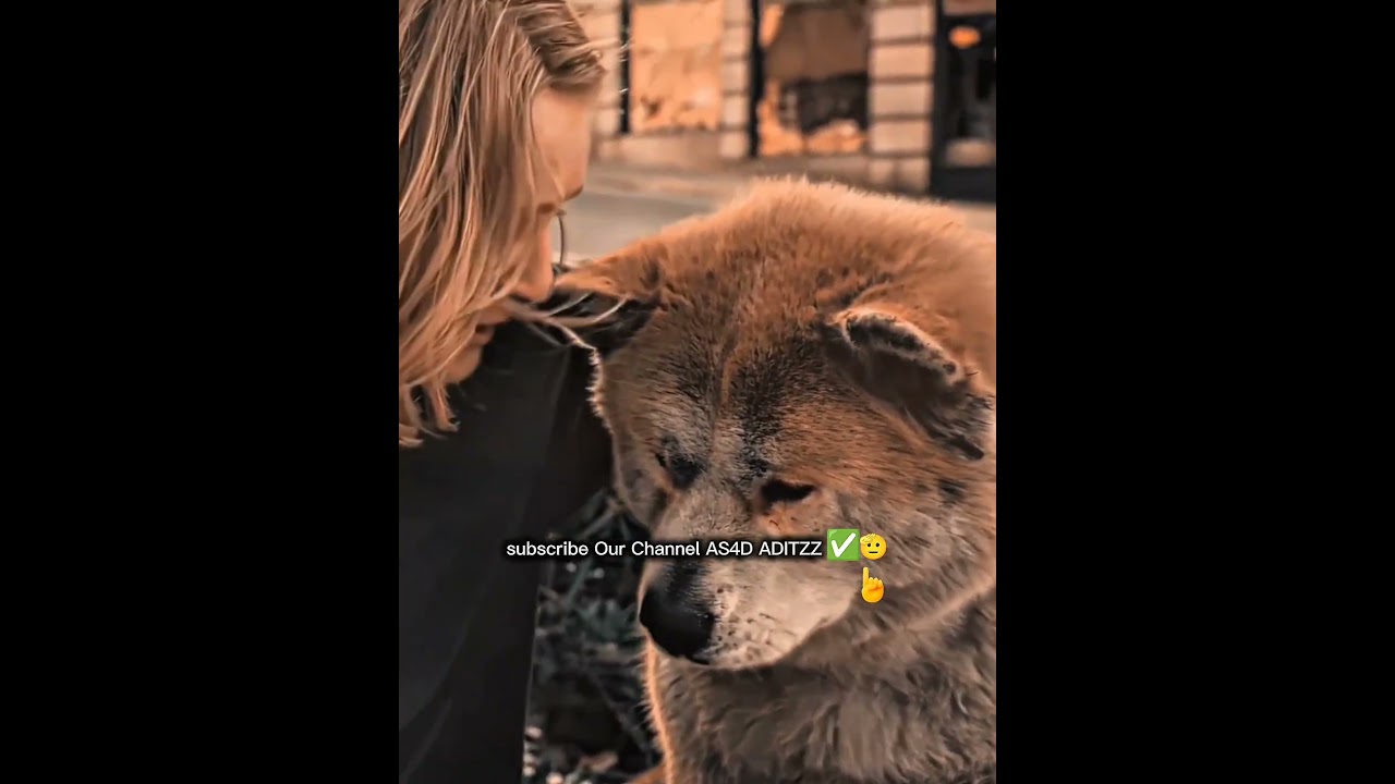 A Sad Dog and a Heart-Touching Human Hug 😭🐕
