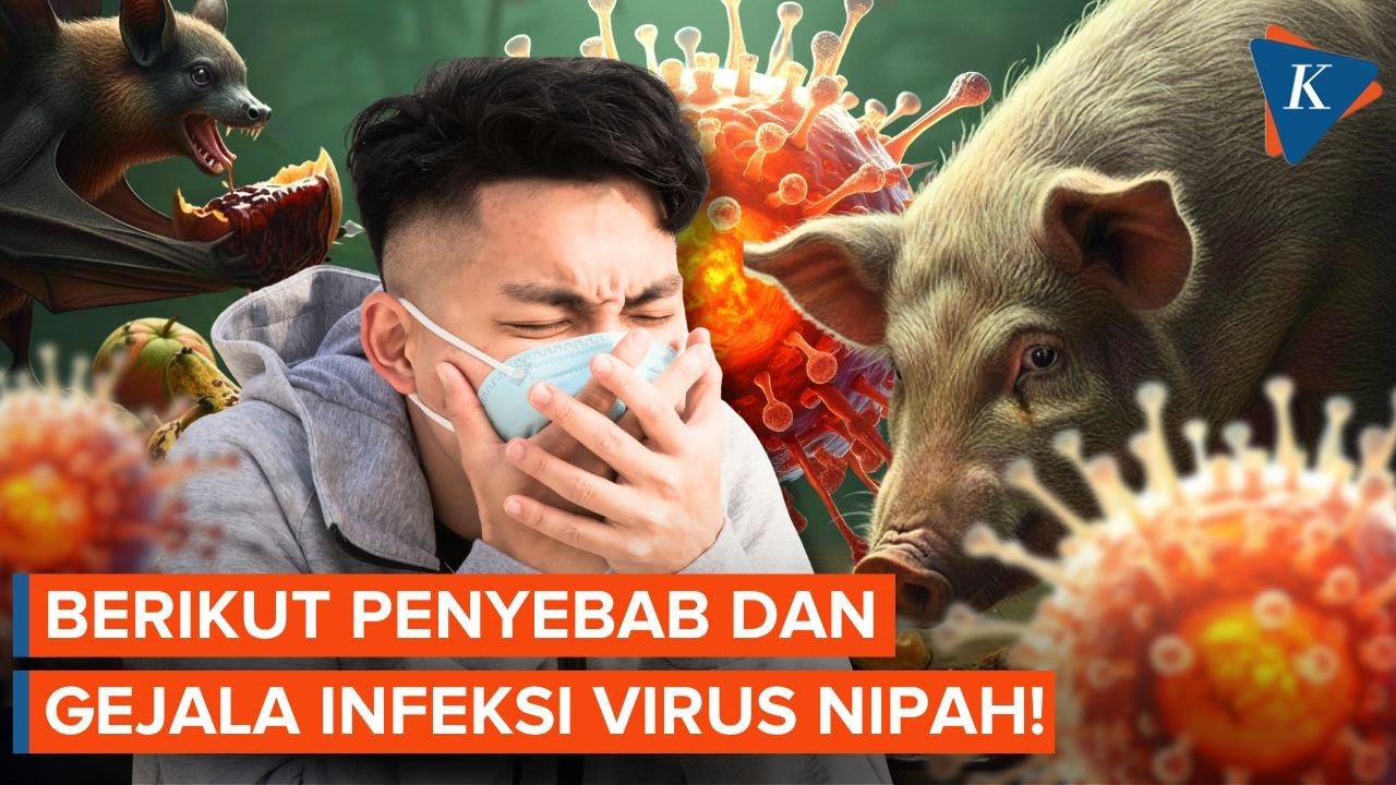 Kenali Gejala Virus Nipah yang Menyebar di India yang Jadi Sorotan Dunia!