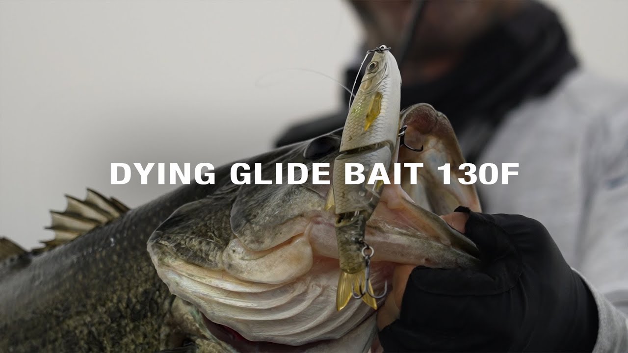 Le regole del gioco sono cambiate! &Egrave; ARRIVATA LA GLIDE BAIT 130 F DYING di Molix