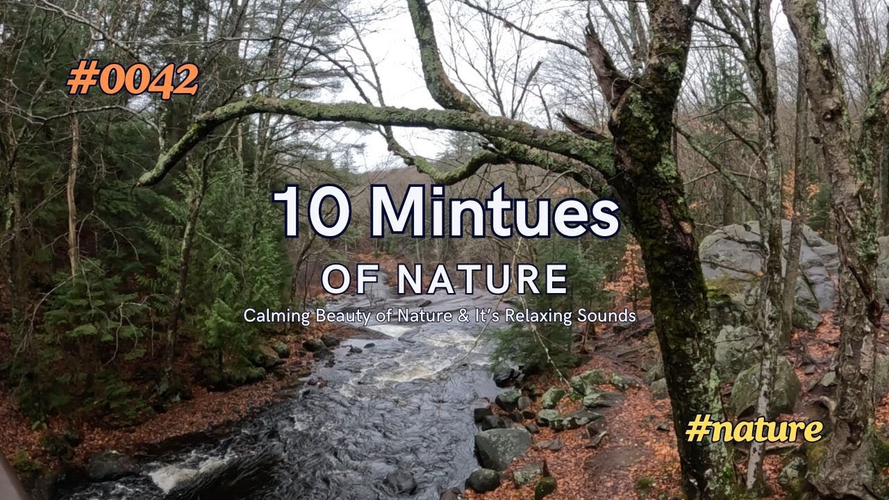 10 Minutes Of Nature 0042 - Water Fall During Autumn (Calm & Relaxing Nature Sounds) (4K)