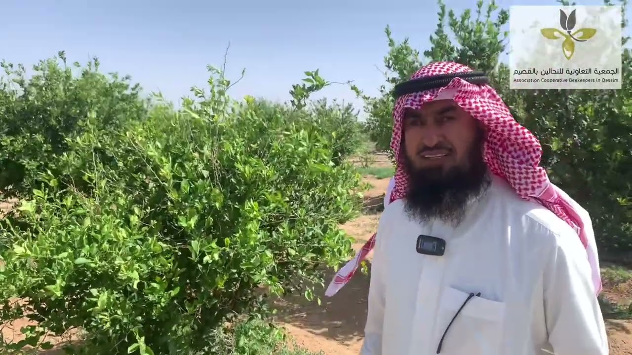 (لقاء مع نحال)النحال الأستاذ /صالح عبدالله العقيل0504284882
