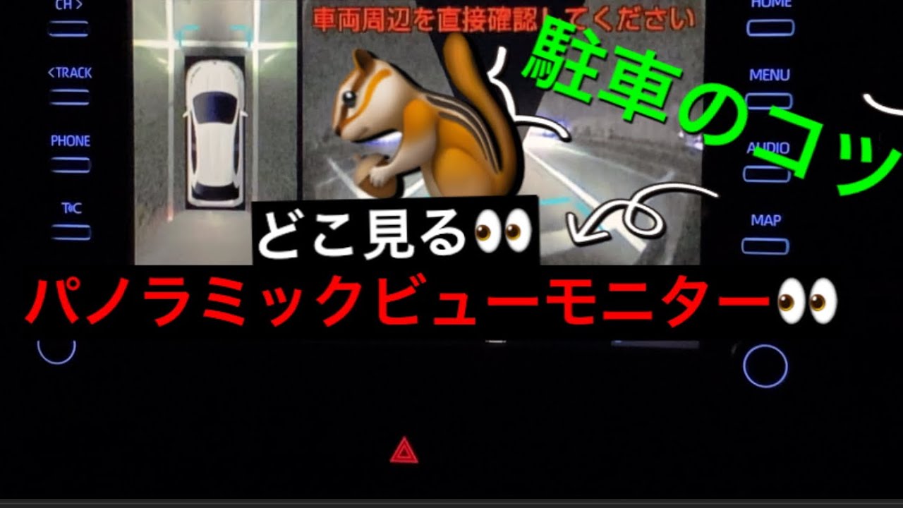 パノラミックビューモニター　⭐️駐車のコツ⭐️見やすいのか👀