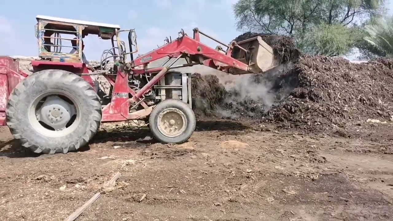 Large scale Chicken manure compost different stages