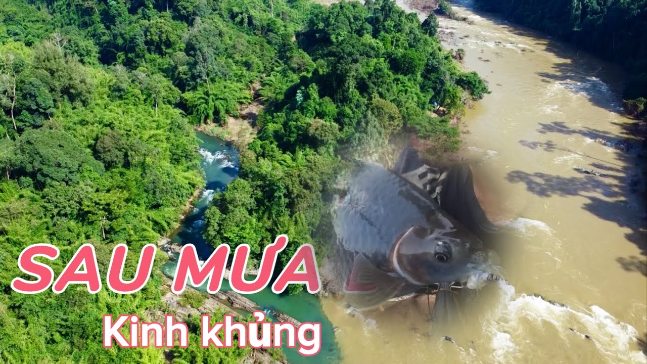 SAU MÙA MƯA LŨ VỀ - CÀN QUYÉT KINH KHỦNG | Thiên93vlog