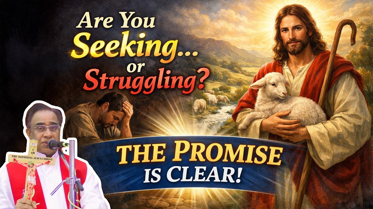 Are You Seeking… or Struggling?  | Promise of the Day | Dr. John Jose Vettiyankal VC