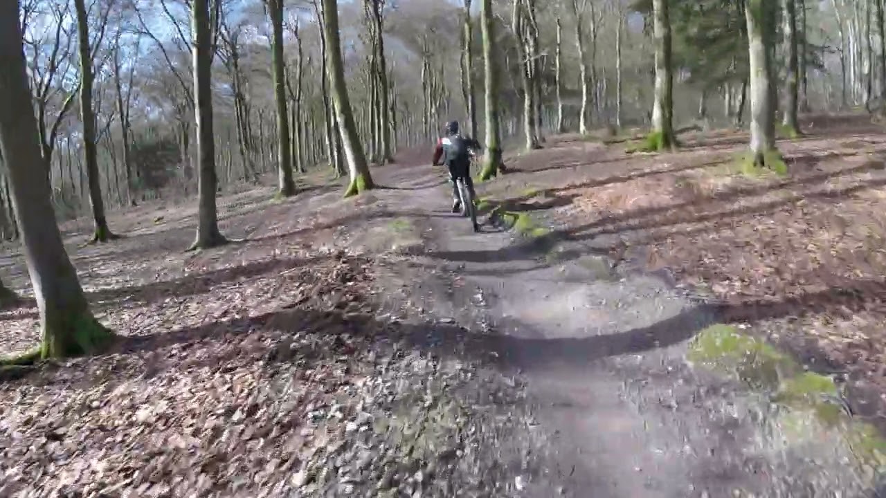 QE Country Park Blue trail