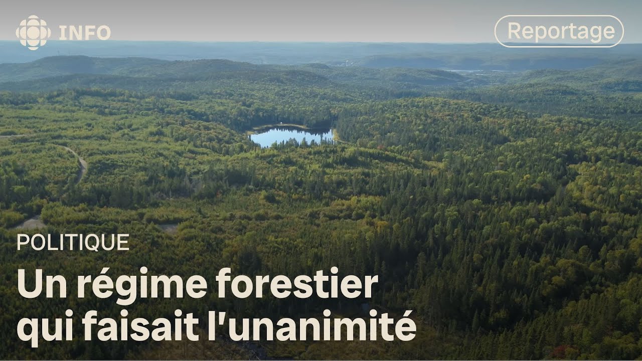 Un nouveau régime forestier au Québec inspiré de la vraie Triade? | La semaine verte