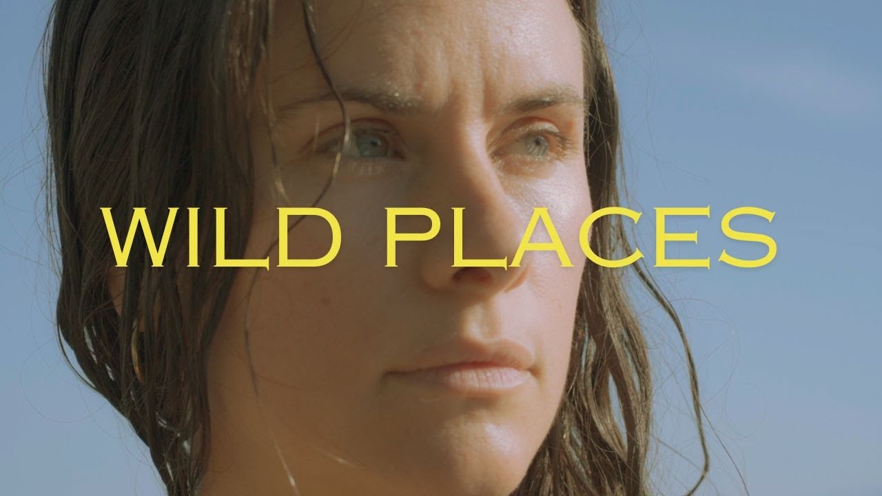Wild Place | Under the Intelligence of the Sun