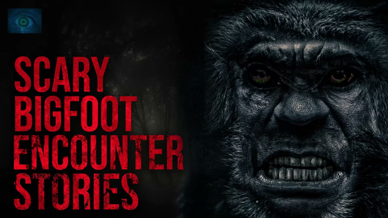 DEEP IN THE WOODS THERE'S LIES MONSTERS | SCARY BIGFOOT ENCOUNTER STORIES