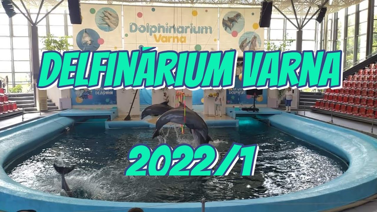 Delfinárium Varna, 15.8.2022, časť 1.