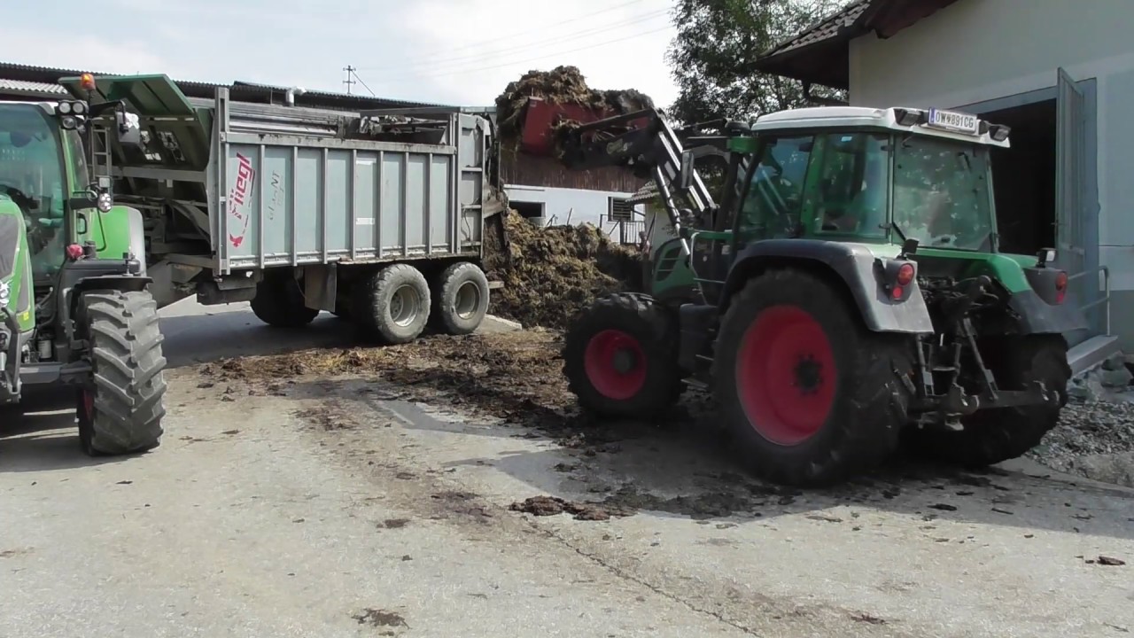 Mist streuen | Hof Hettlinger | Fendt Power | Mistfian