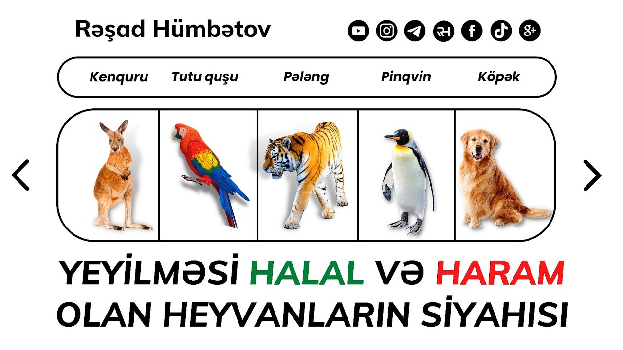 🌿 Yeyilməsi halal və haram olan heyvanların siyahısı.. 👉 Rəşad Hümbətov