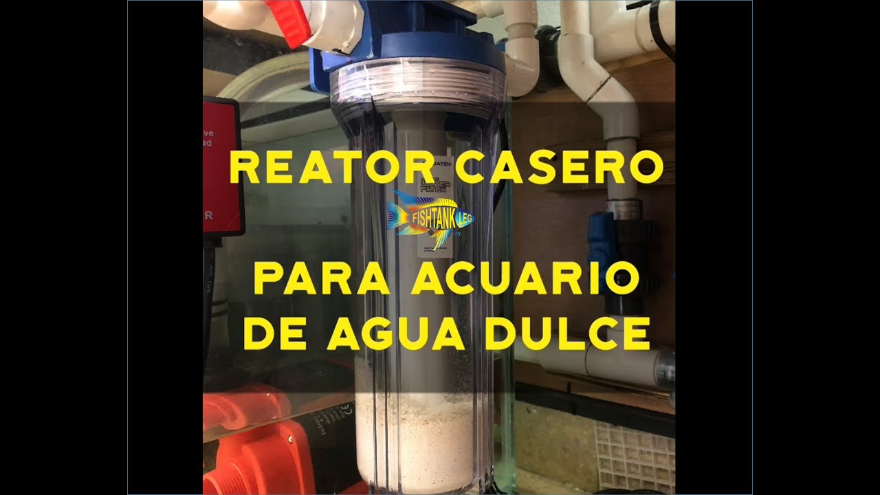 Como hacer un Reactor Casero para acuario de agua dulce o marino