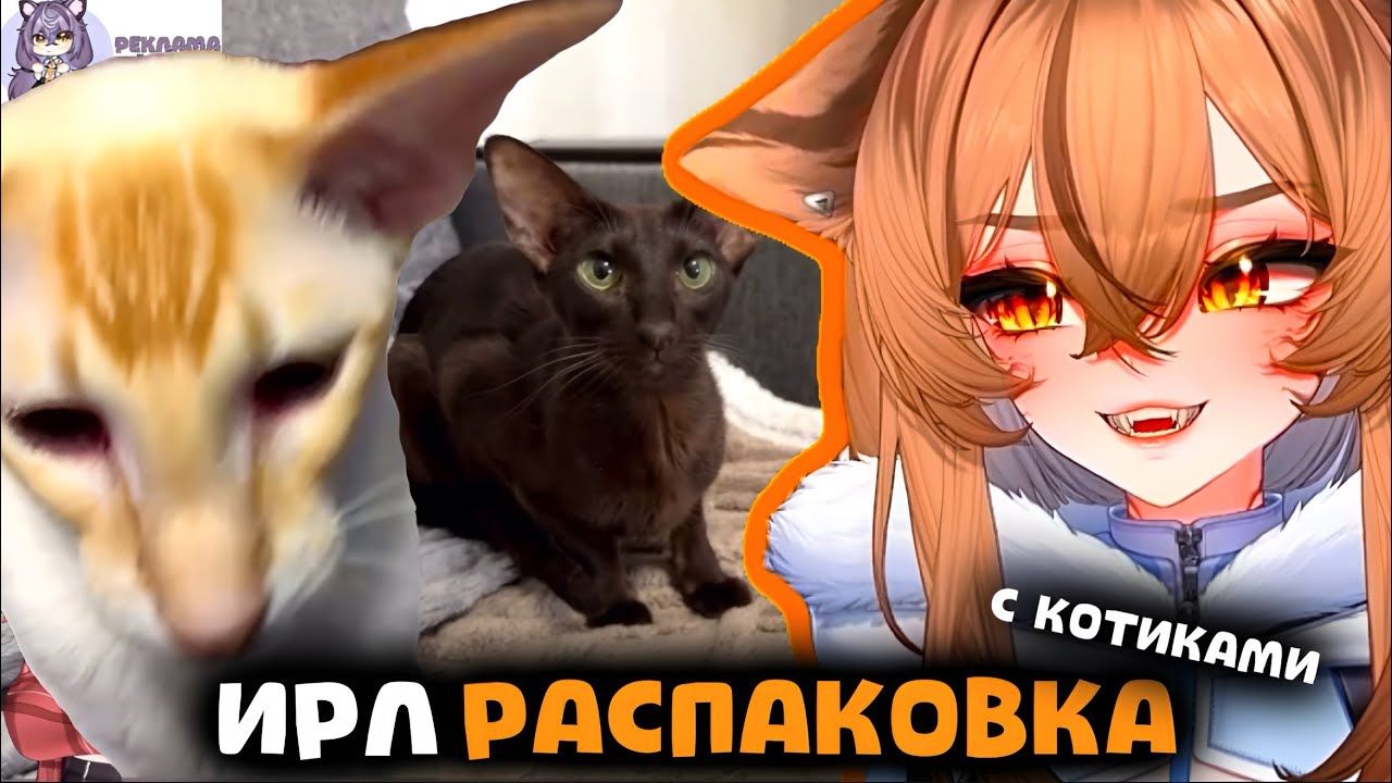 ВИТУБЕРША Камыш РАСПАКОВЫВАЕТ ПОДАРОК ОТ MSI вместе с Котиками