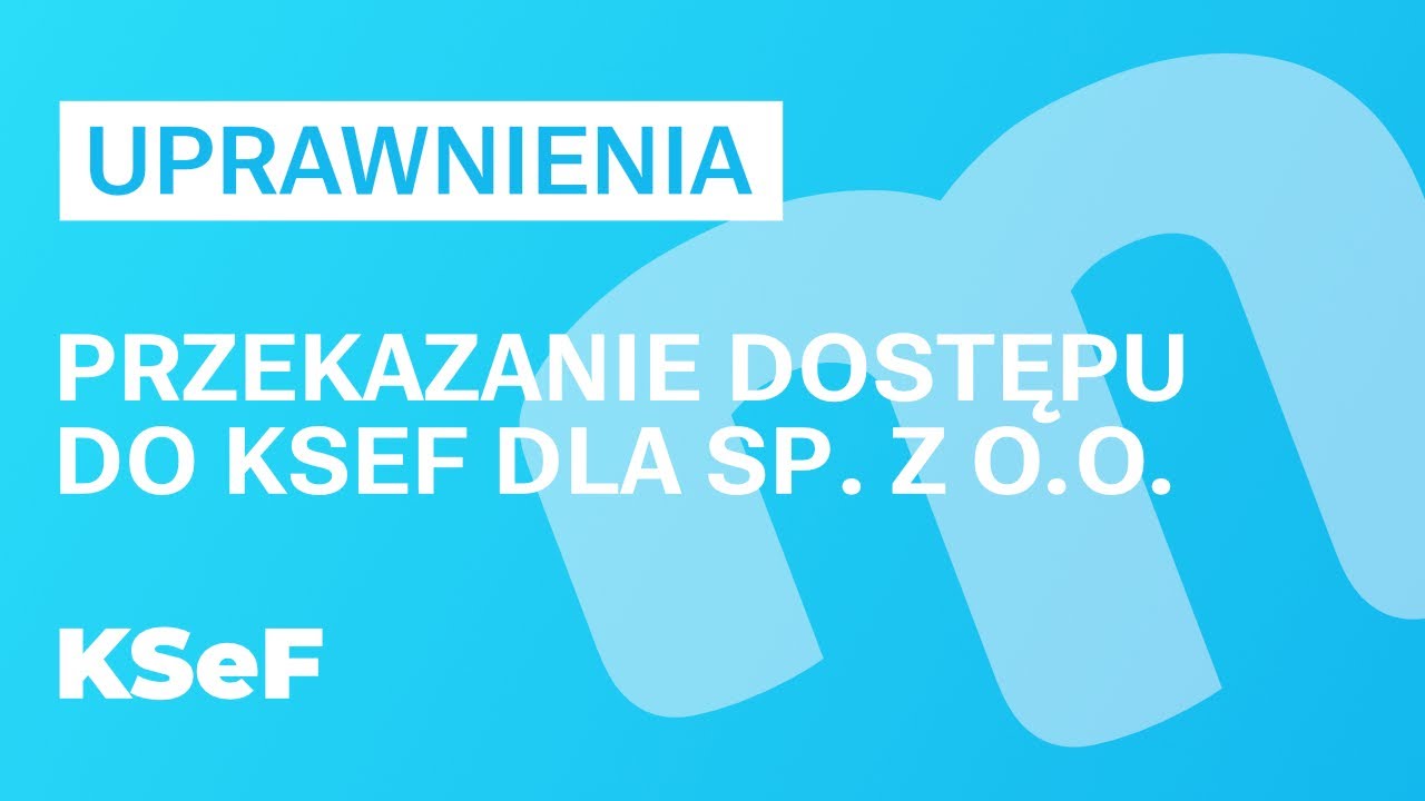 Uprawnienia dla Sp z O.O. - udostępnienie dostępu | Poradnik KSeF dla spółki
