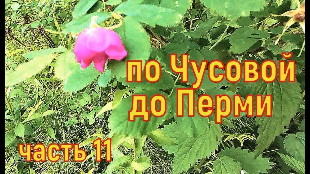 600км по Чусовой до Перми часть 11