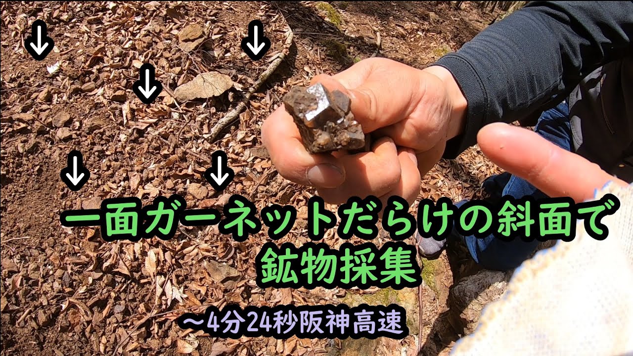 鉱物採集 「兄弟でガーネット採集」