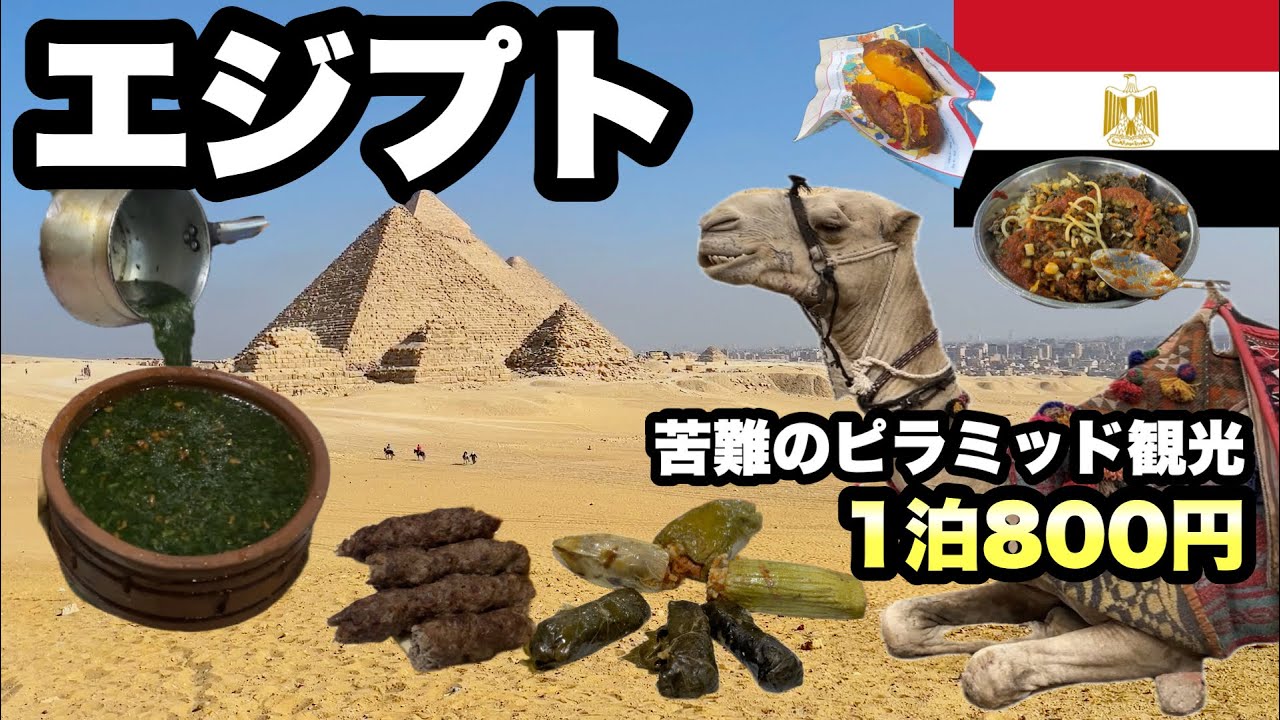 ピラミッドの町ギザ/安宿800円で最悪なオーナーと数多の南京虫/ お金をかけないとやばいことになる/ ラクダだけは可愛いかった