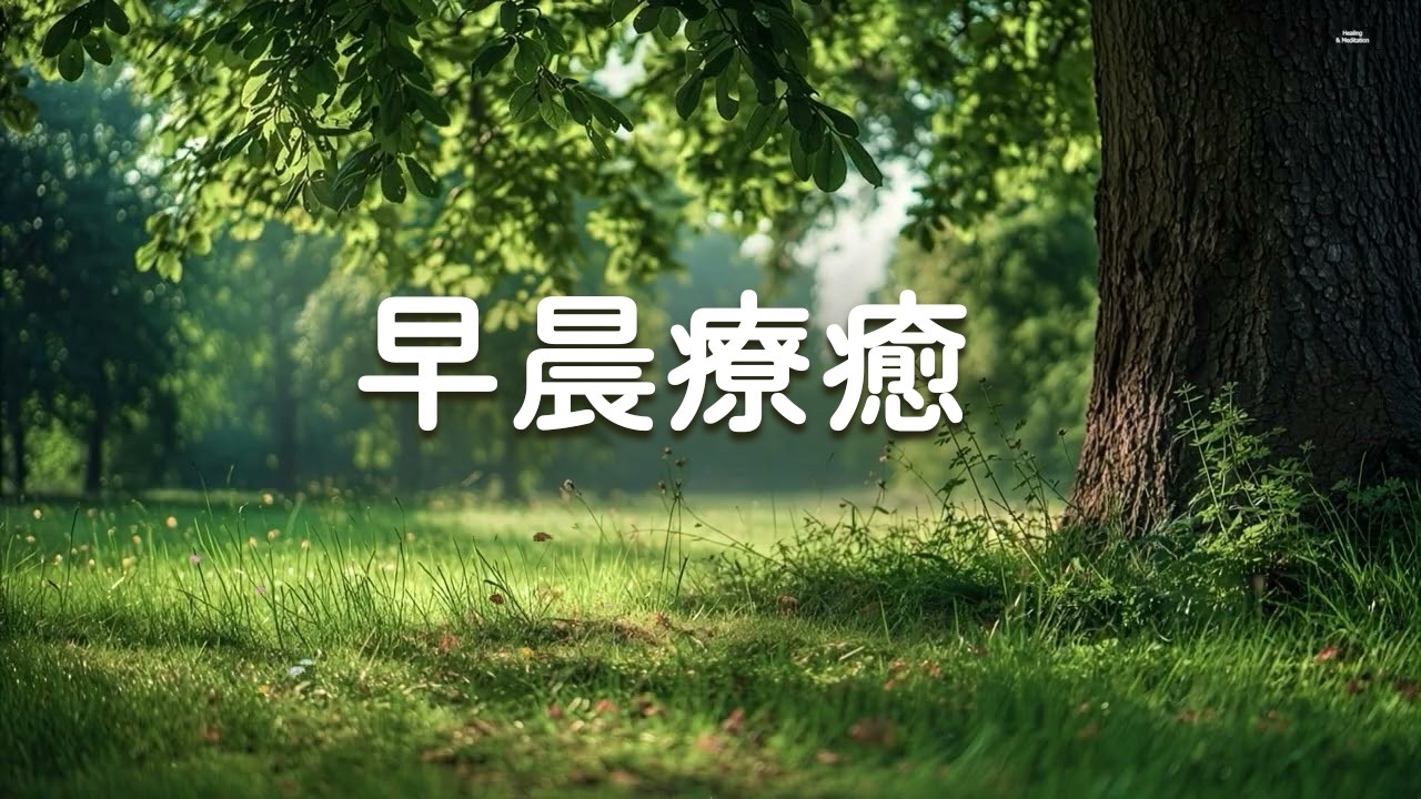【100%無廣告】 早晨療癒心靈的音樂 - 大自然清澈流水聲和清脆鳥叫聲，清除負面能量，放鬆腦神經細胞, 鋼琴曲 輕音樂