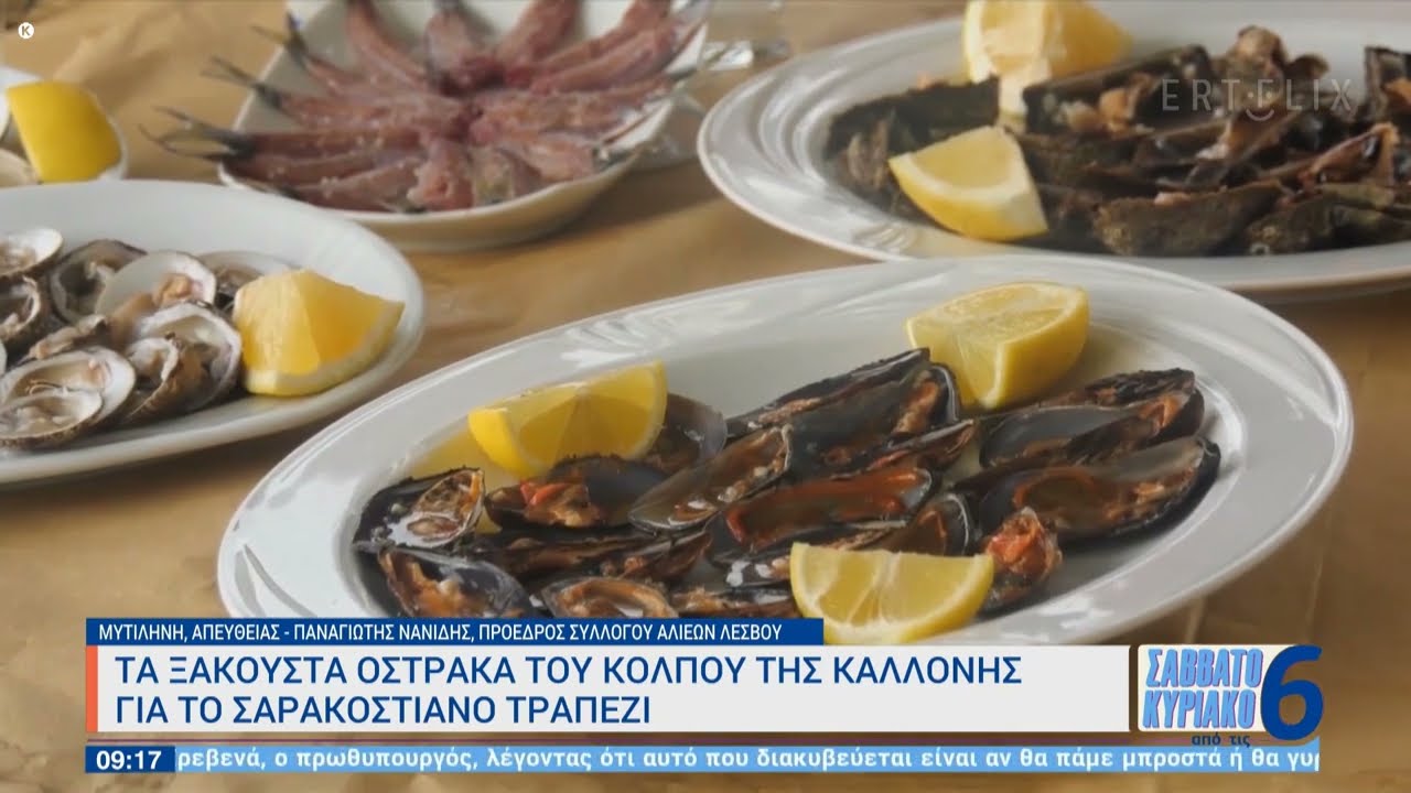 Τα ξακουστά όστρακα του κόλπου Καλλονής για το σαρακοστιανό τραπέζι.