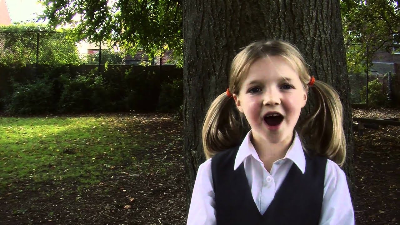Celtic Roots - Trailer English