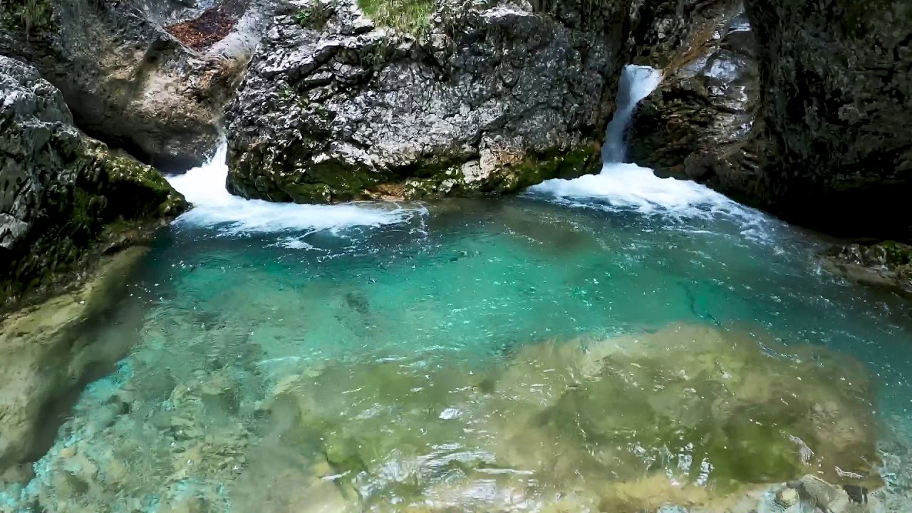 Bruit de la nature - Cours d'eau et chants d'oiseaux - ASMR