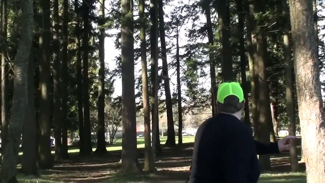 Hyzer Anhyzer - Disc Golf Nerd