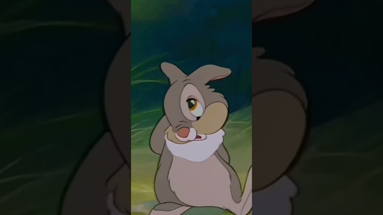 Here's a piece of advice by thumper 🐰🐇#thumper #bambi #goodvibes