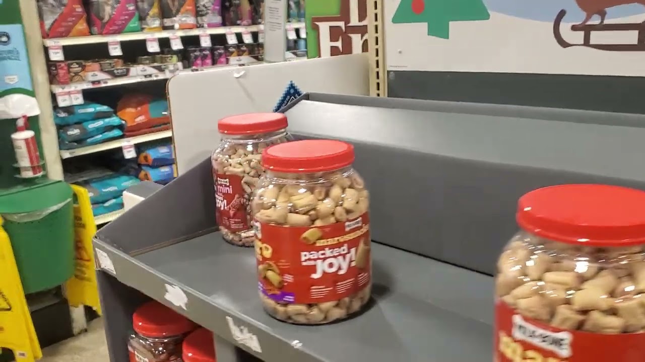 PET SMART (Pet lesson plan)