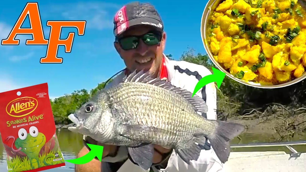 Devilled fish recipe Bream and Barramundi Snake Lollie Catch and Cook EP.407