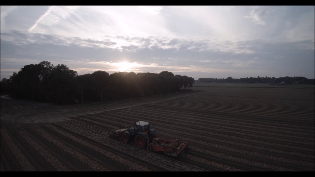 uien rooien 2017, Bakker Bierum