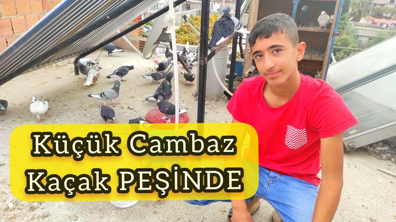 KÜÇÜK CAMBAZ KAÇAK PEŞİNDE !