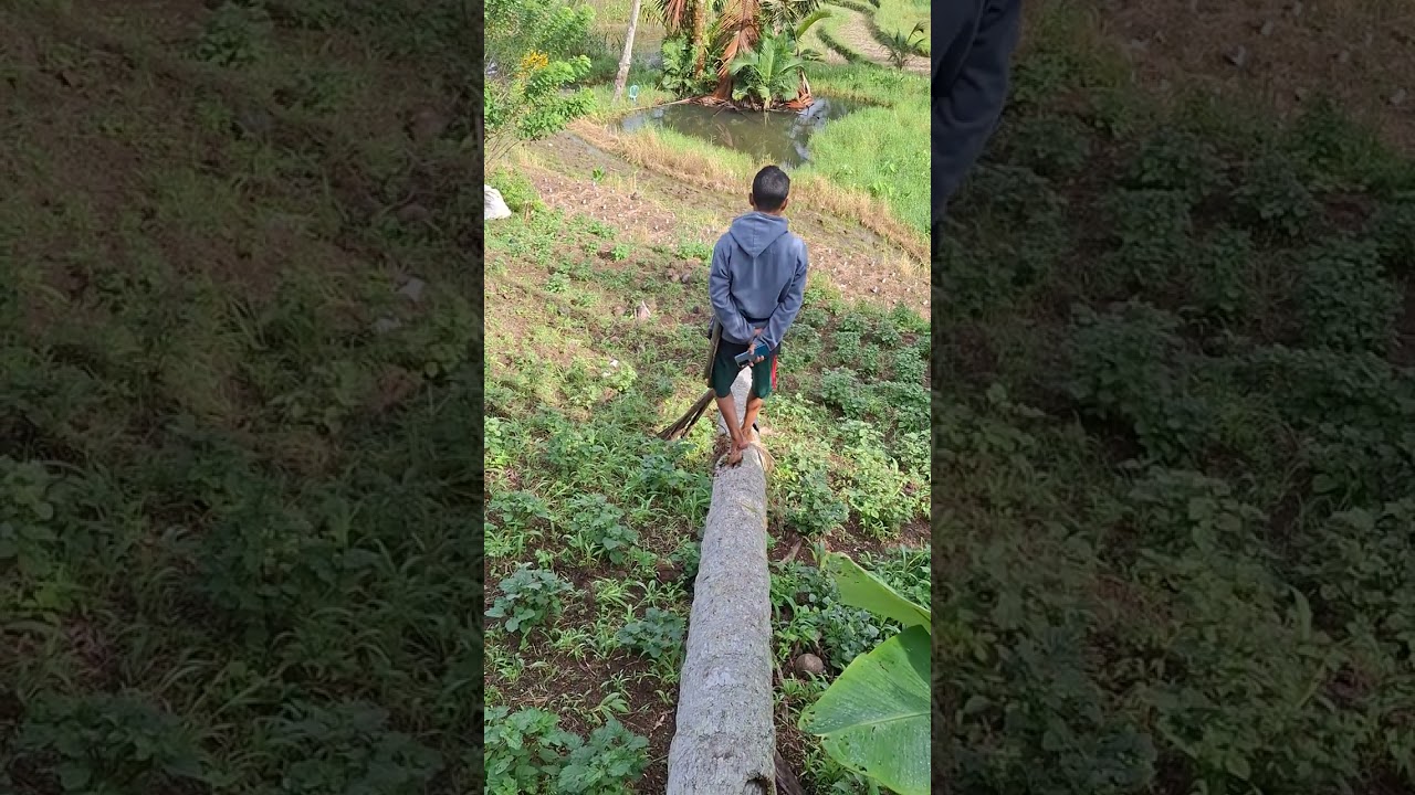 Desaku Yang kucinta 