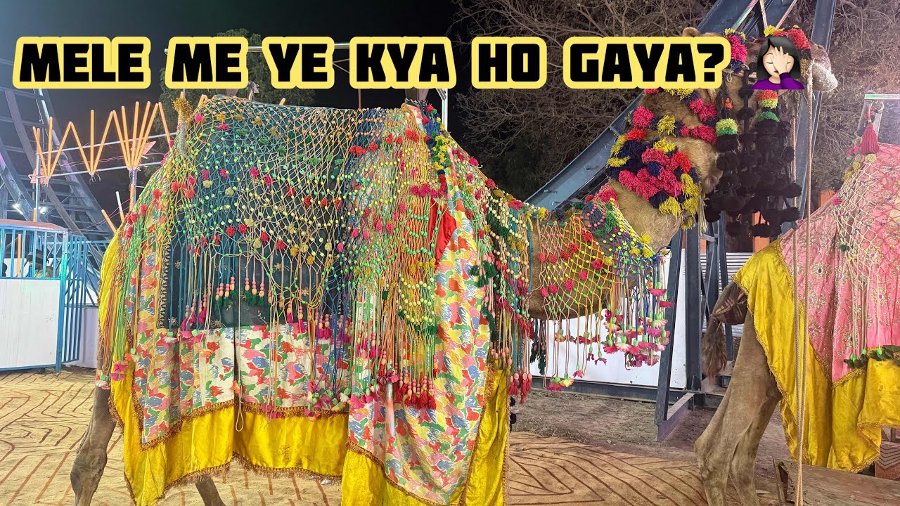  Mele Me Ye Kya Ho Gaya?🤦🏻‍♀️ familyvlog #dailyvlog #vlog20 #viral #30daychallenge #mela #viralvlogs
