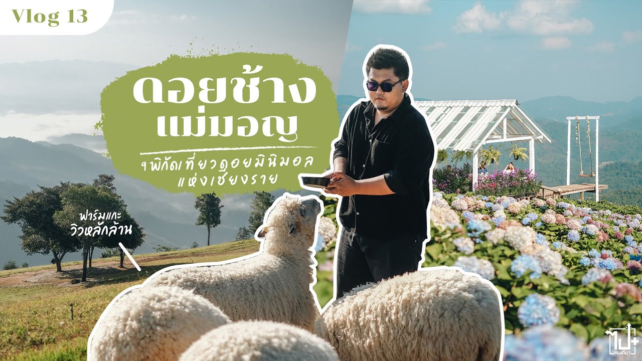 9 พิกัดเที่ยววิวหลักล้าน | ดอยช้าง-ดอยแม่มอญ | ดอยมินิมอลแห่งเชียงราย | Vlog 13