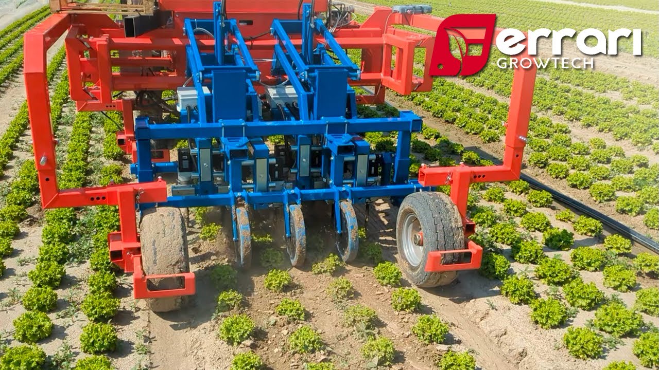 Introducing Twistweed AI: The Future of Weeding with Ferrari Growtech