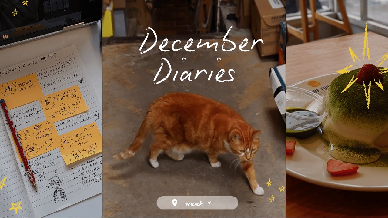 My December Diaries / week 1 : studying Japanese & city walks
