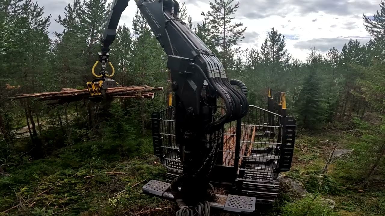 Ponsse Buffalo loading in first thinning