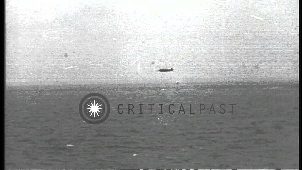 Japanese Yokosuka D4Y1 torpedo bomber attacks US warship and is shot down HD Stock Footage