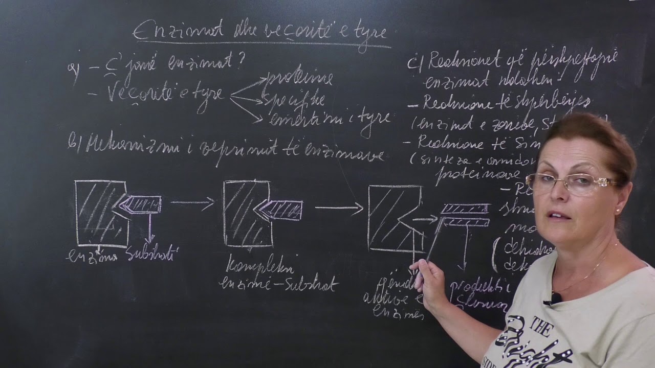 Biologji - Enzimat dhe veçoritë e tyre.