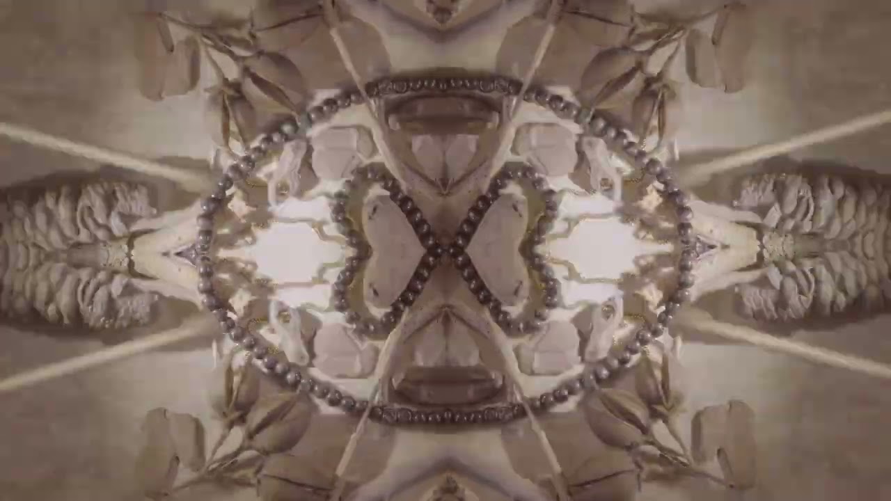 Arcangel Trio || The War || Baid&uacute;ska (Official Visualiser)