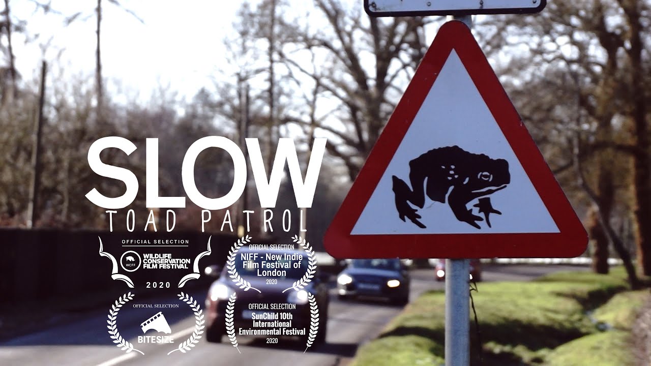 SLOW: Toad Patrol | Full Film 2020
