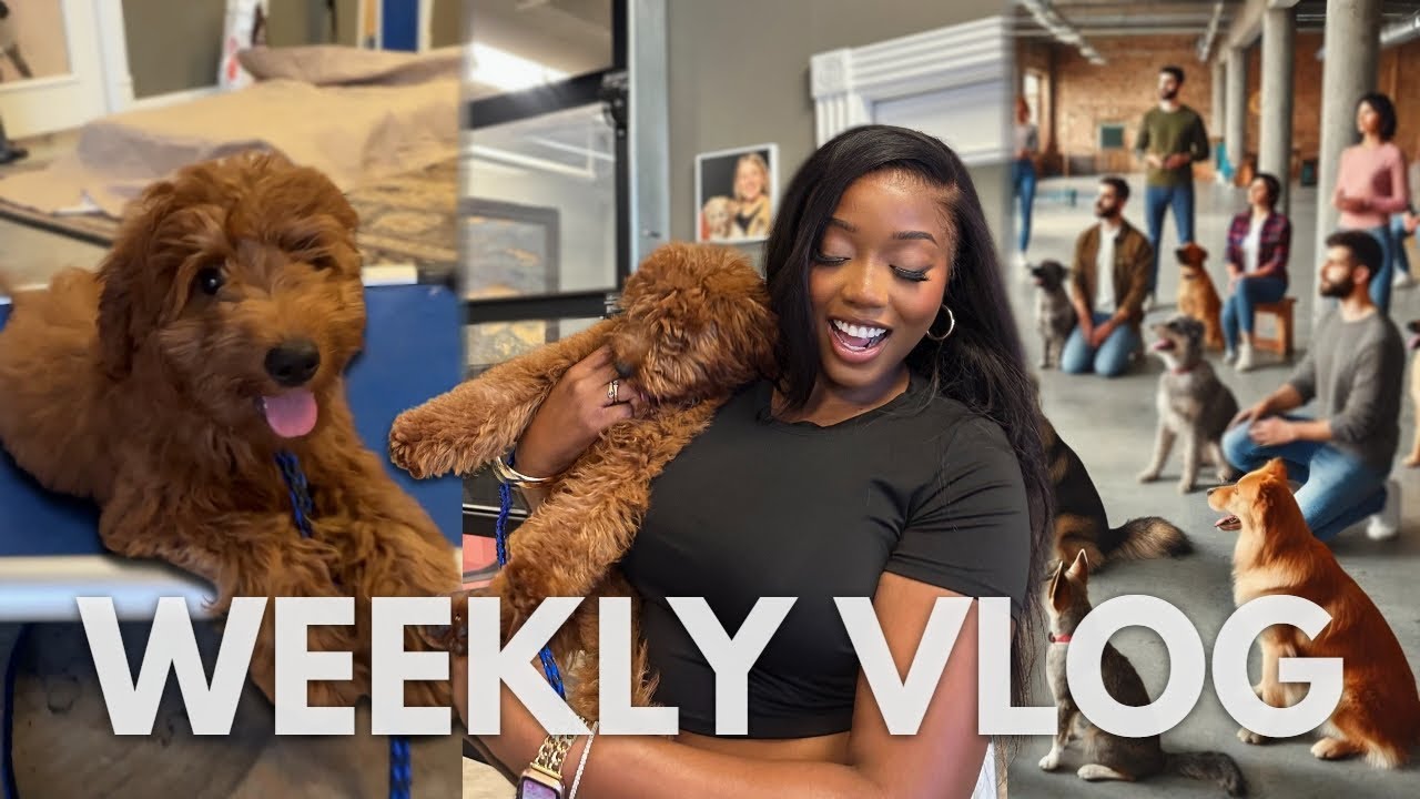 I Finally Put Him in Dog Training Class + Barre Class + FLAT TIREEEE | COURTREEZY 2.0