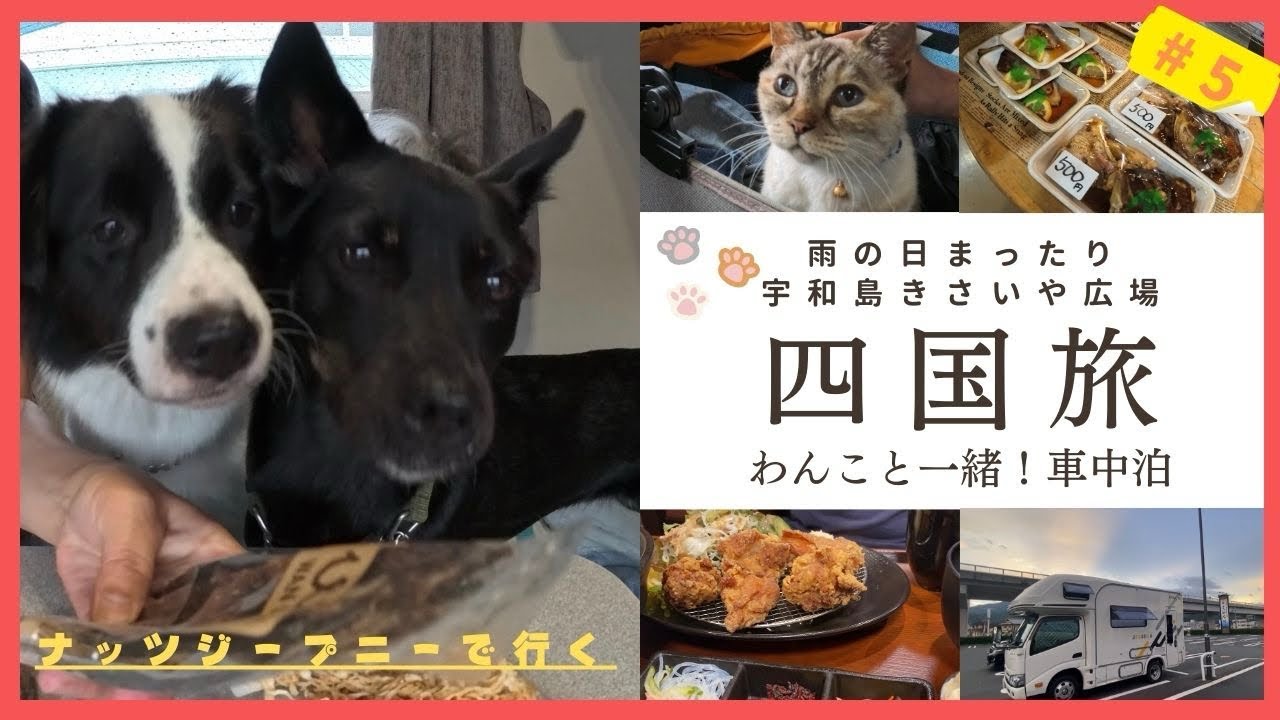 【道の駅うわじまきさいや広場】ジープニーで車中泊