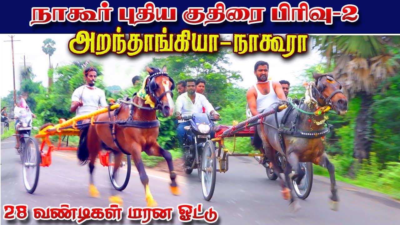 புது குதிரை பிரிவு -2  நாகூர் 20/10/2022 Pudhu Kuthirai set-2 Nagor Ksk rekla race tn horse race