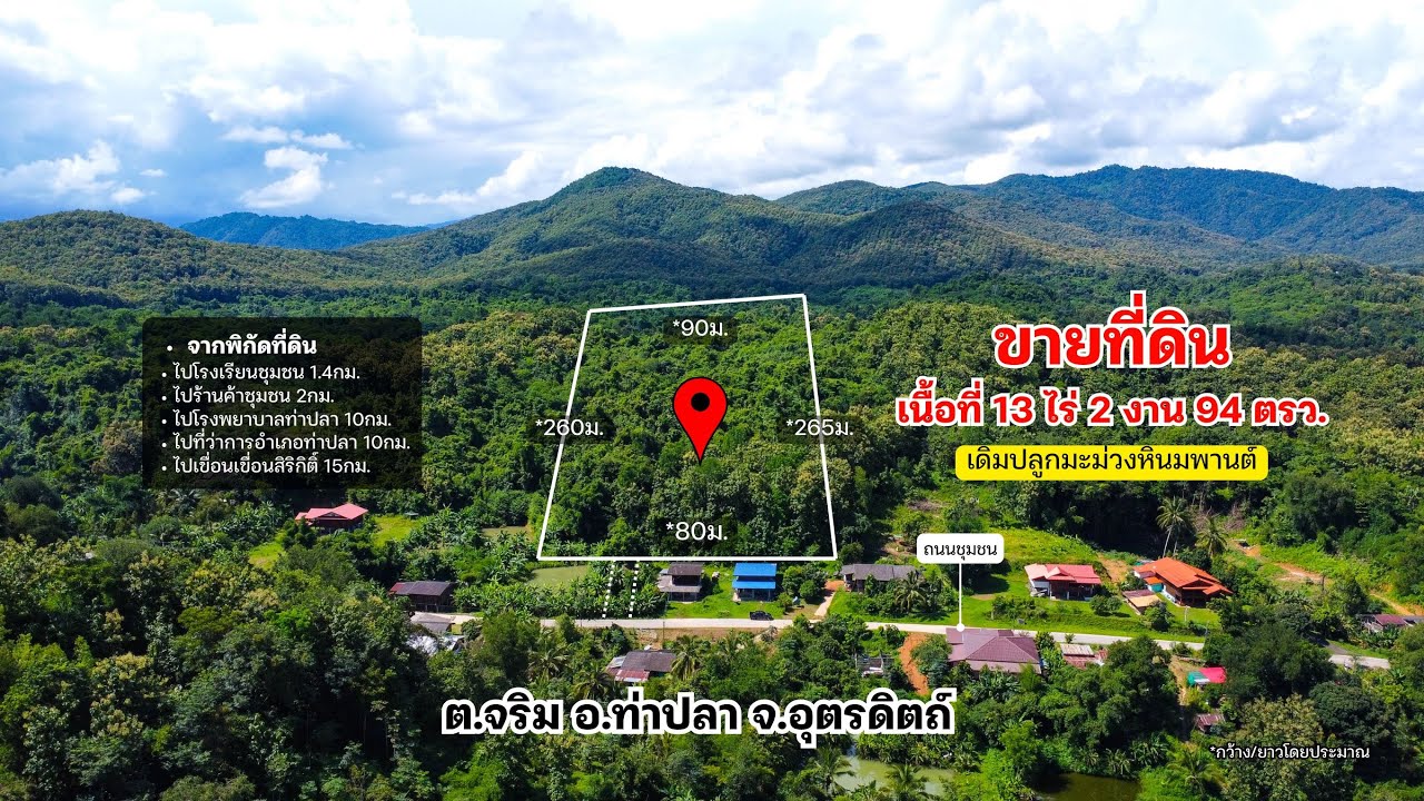 ขายที่ดิน 13ไร่ 2งาน 94ตรว. ราคา590,000บาทรวมโอน เดิมปลูกมะม่วงหินมพานต์ ต.จริม อ.ท่าปลา จ.อุตรดิตถ์