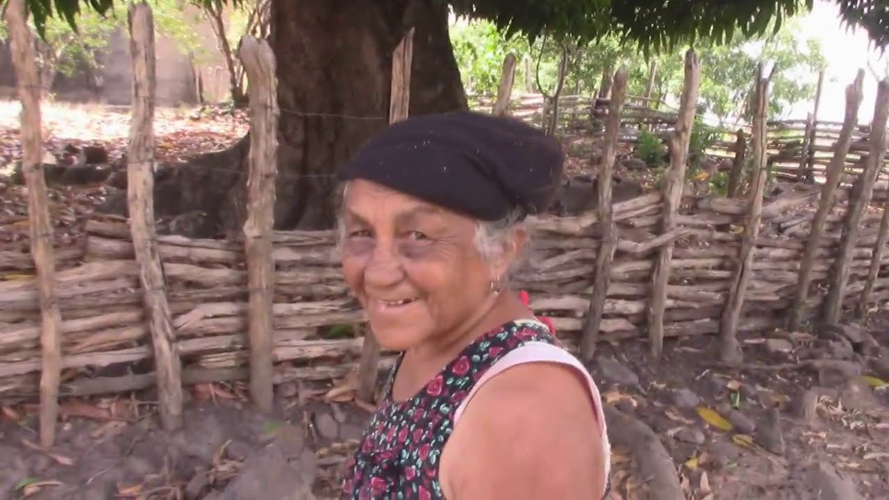 VÓ DELOUSA NA COLHEITAS DAS MANGAS