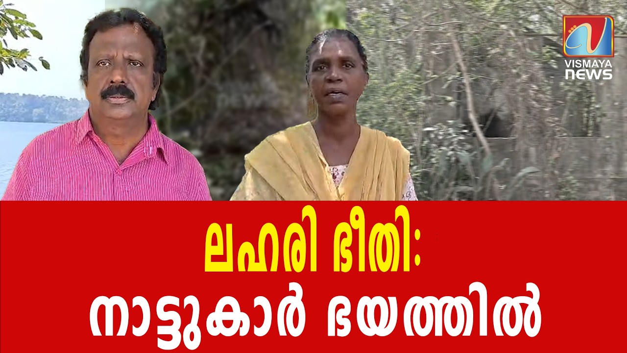 ലഹരി മാഫിയയുടെ പിടിയിൽ ഇലകമൺ കായൽതീരം|VISMAYANEWS